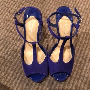 Royal Blue Gianni Bini heels